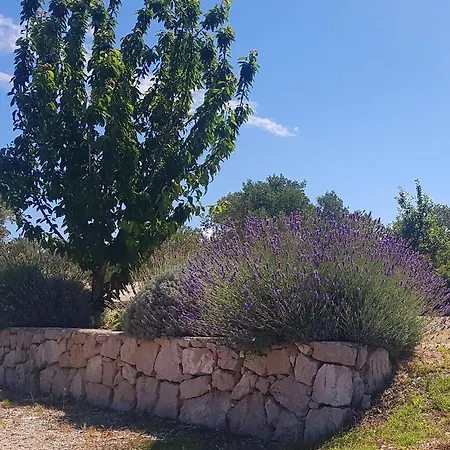 Eden Lady Mobile Home, Croatia, Apartman